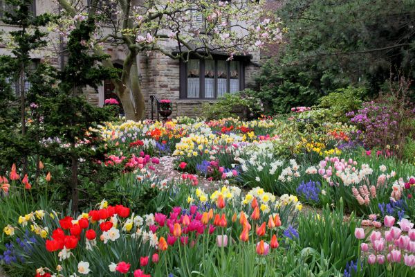 Garden Maintenance Service in Sandy