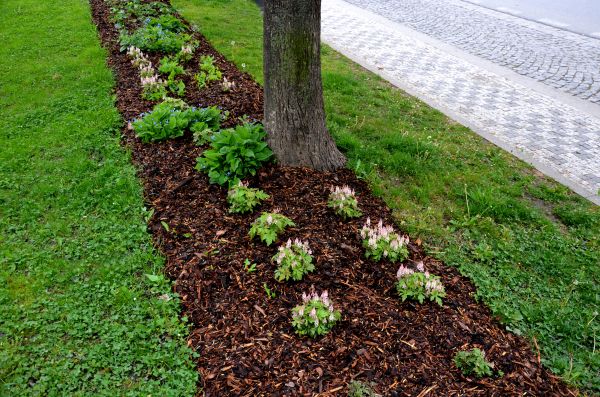 Mulch Replacement Service in Sandy