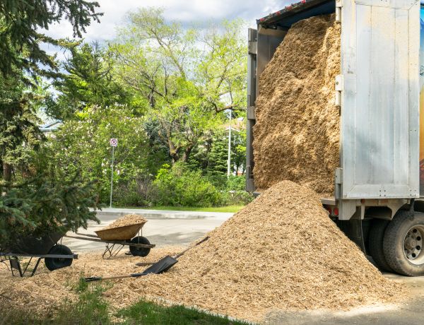 Wood Chips Delivery in Sandy