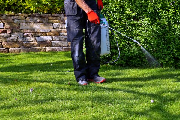 Weed Prevention