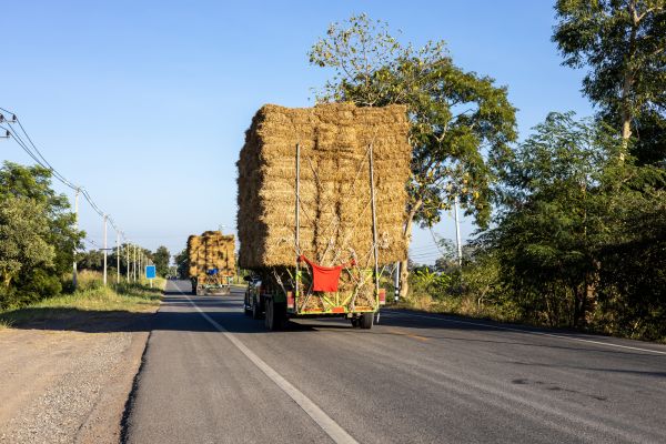 Pine Straw Delivery in Sandy