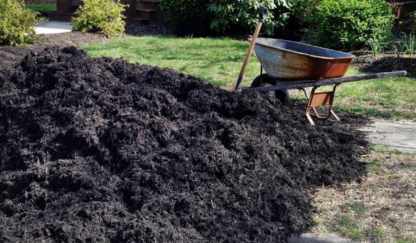 Black Mulch Delivery in Sandy