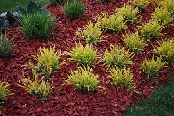 Mulch Landscaping in Sandy