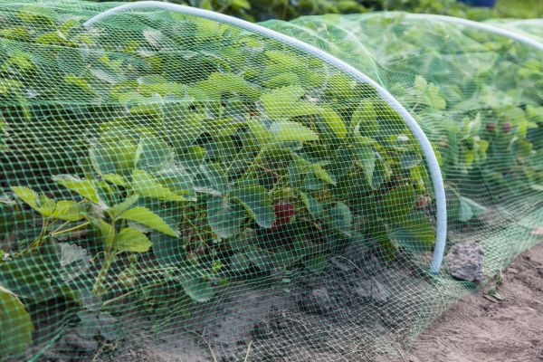 Garden Preservation Service