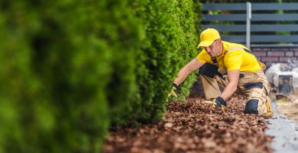Cypress Mulch Installation in Sandy