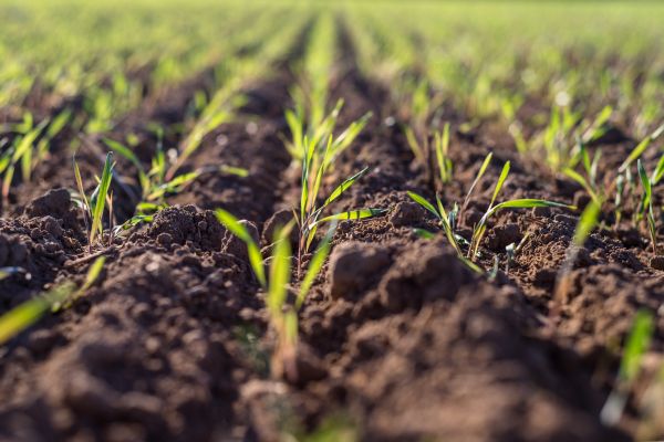 Land Tilling