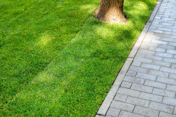 Border Stone Installation in Sandy