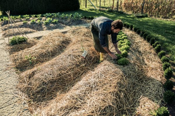 Straw Mulching Service in Sandy