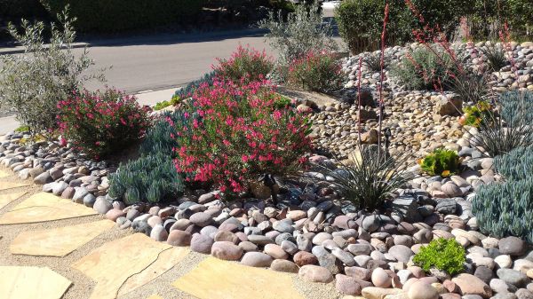 Xeriscape Landscaping in Sandy