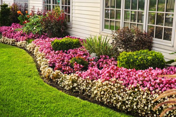 Flower Bed Care