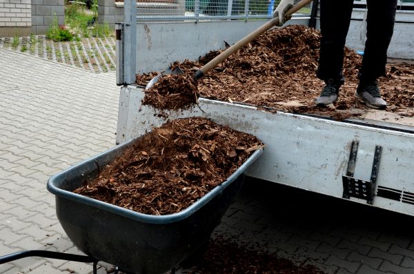 Landscape Mulch Delivery in Sandy