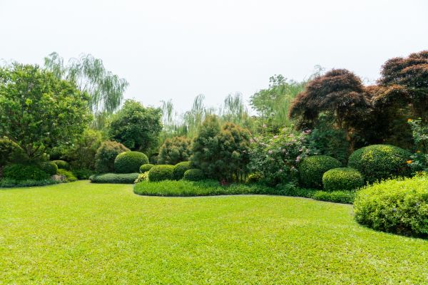 Tree Landscaping in Sandy