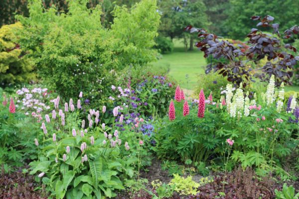 Flower Bed Planting in Sandy