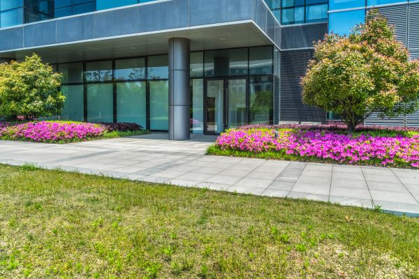 Commercial Gardening in Sandy