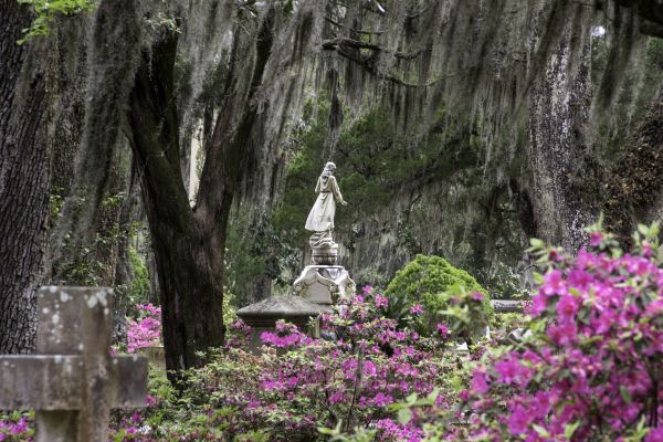 Cemetery Landscaping in Sandy