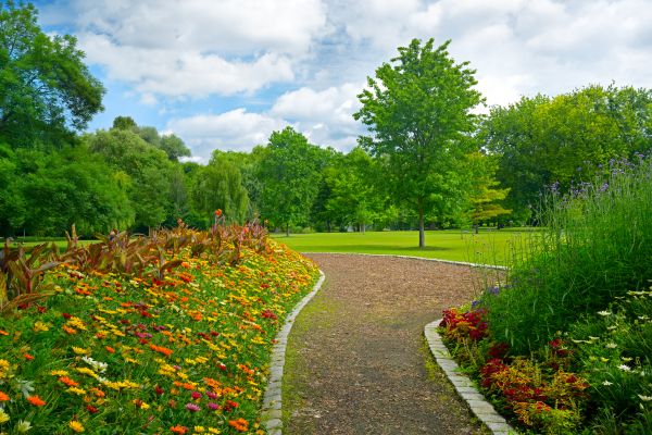 Park Landscaping in Sandy