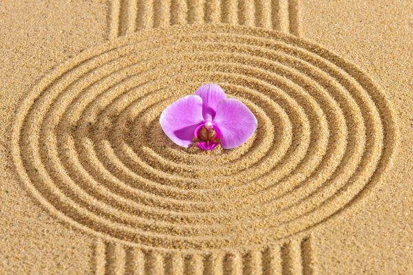 Sand Garden Landscaping in Sandy