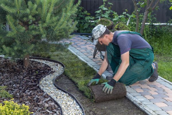 Landscaping Modification in Sandy