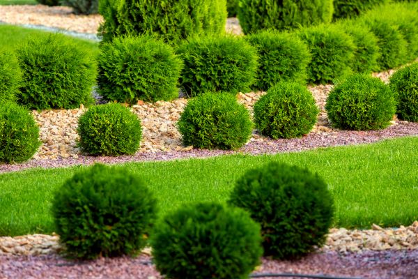 Bush Installation in Sandy
