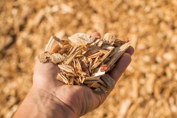 Wood Chips Spreading in Sandy