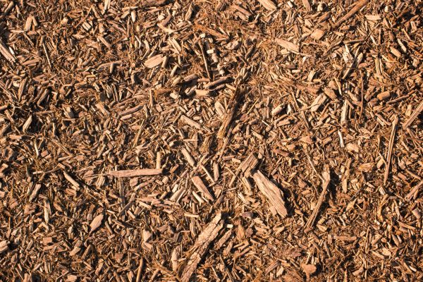 Wood Chips Removal in Sandy