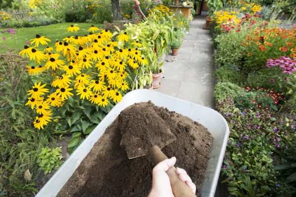 Topsoil Replacement in Sandy