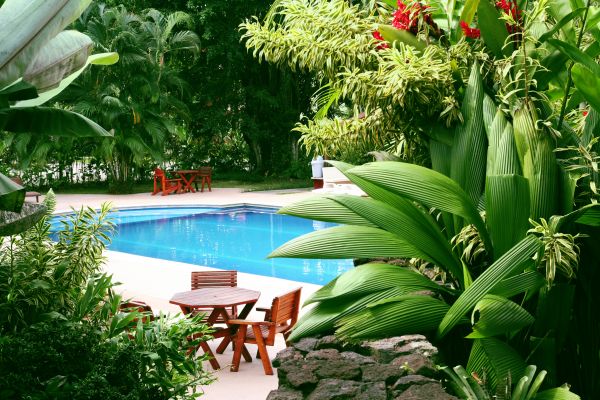 Pool Area Landscaping in Sandy