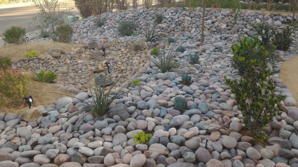 Yard Xeriscaping in Sandy