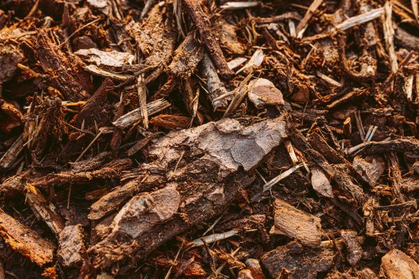 Bark Mulch Delivery in Sandy