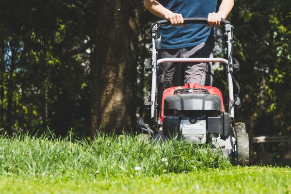 Garden Trimming Service in Sandy