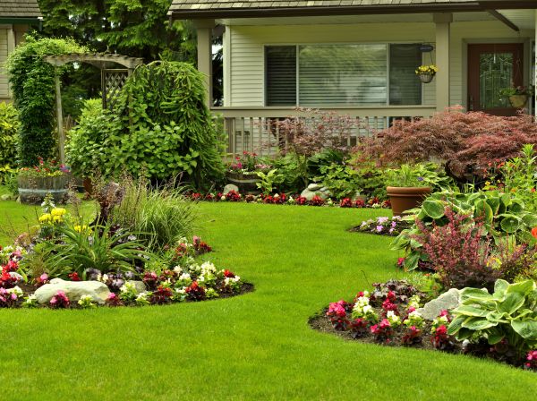 Flower Garden Planting