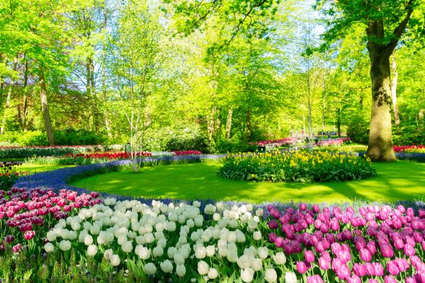 Flower Landscaping in Sandy