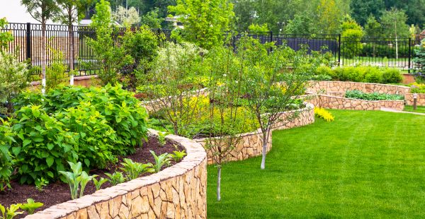 Yard Makeover Service in Sandy
