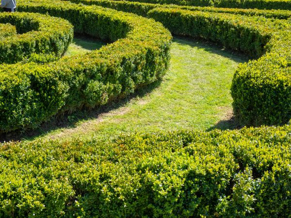 Bush Landscaping in Sandy