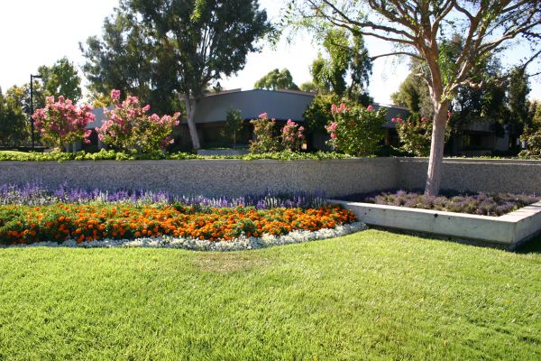 Commercial Landscape Service in Sandy