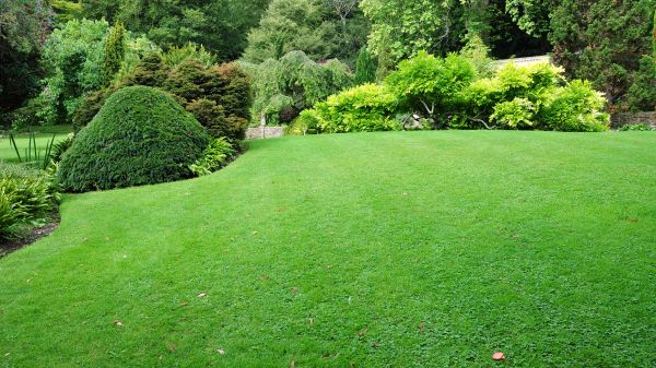 Commercial Landscape Design in Sandy