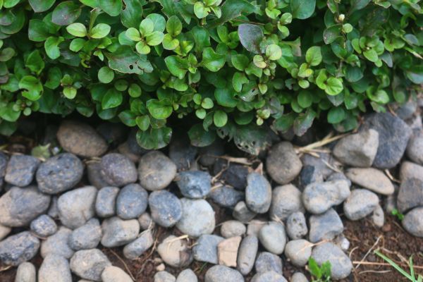 River Stone Installation in Sandy