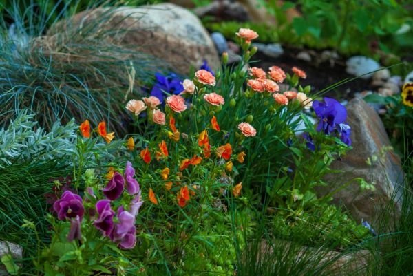 Flower Garden Planning