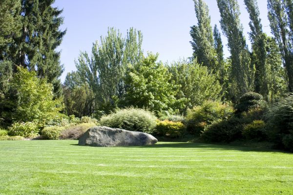 Yard Enlargement in Sandy