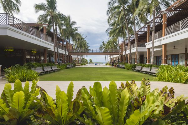 Commercial Lawn Renovation in Sandy