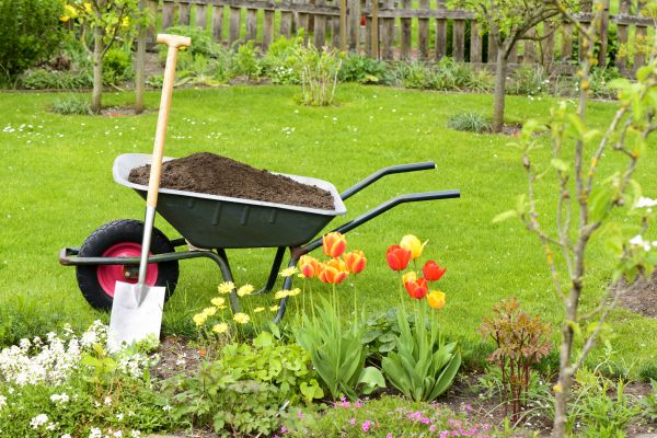 Spring Yard Renovation in Sandy