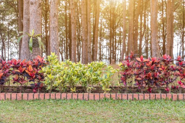 Small Garden Landscaping in Sandy