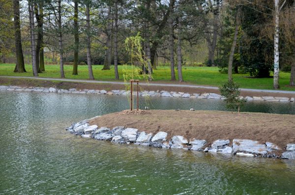 Pond Landscaping Service in Sandy