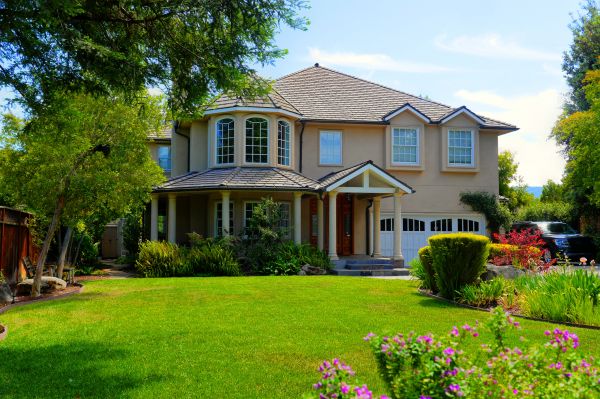 Large Yard Landscaping in Sandy