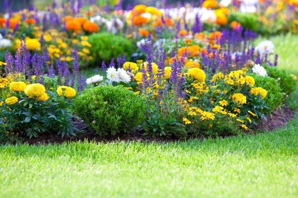 Flowerbed Planting