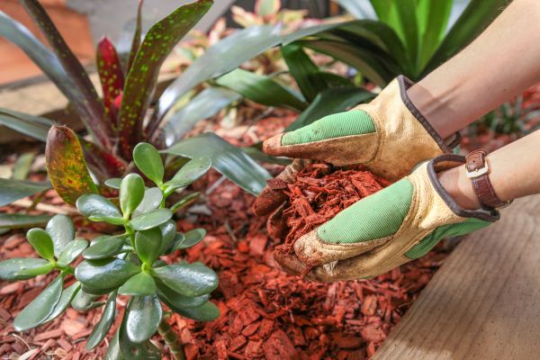 Cedar Mulch Installation Service