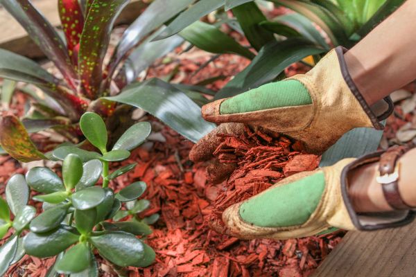 Residential Mulching in Sandy