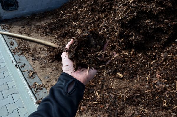Condo Mulching in Sandy