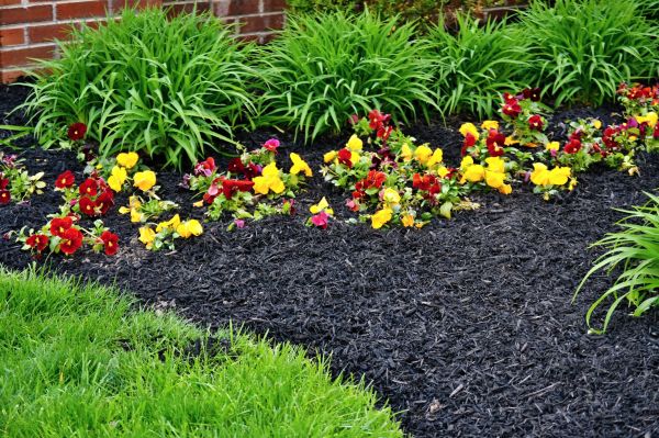 Apartment Mulching in Sandy