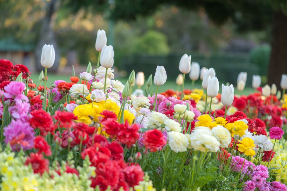 Flower Garden Installation